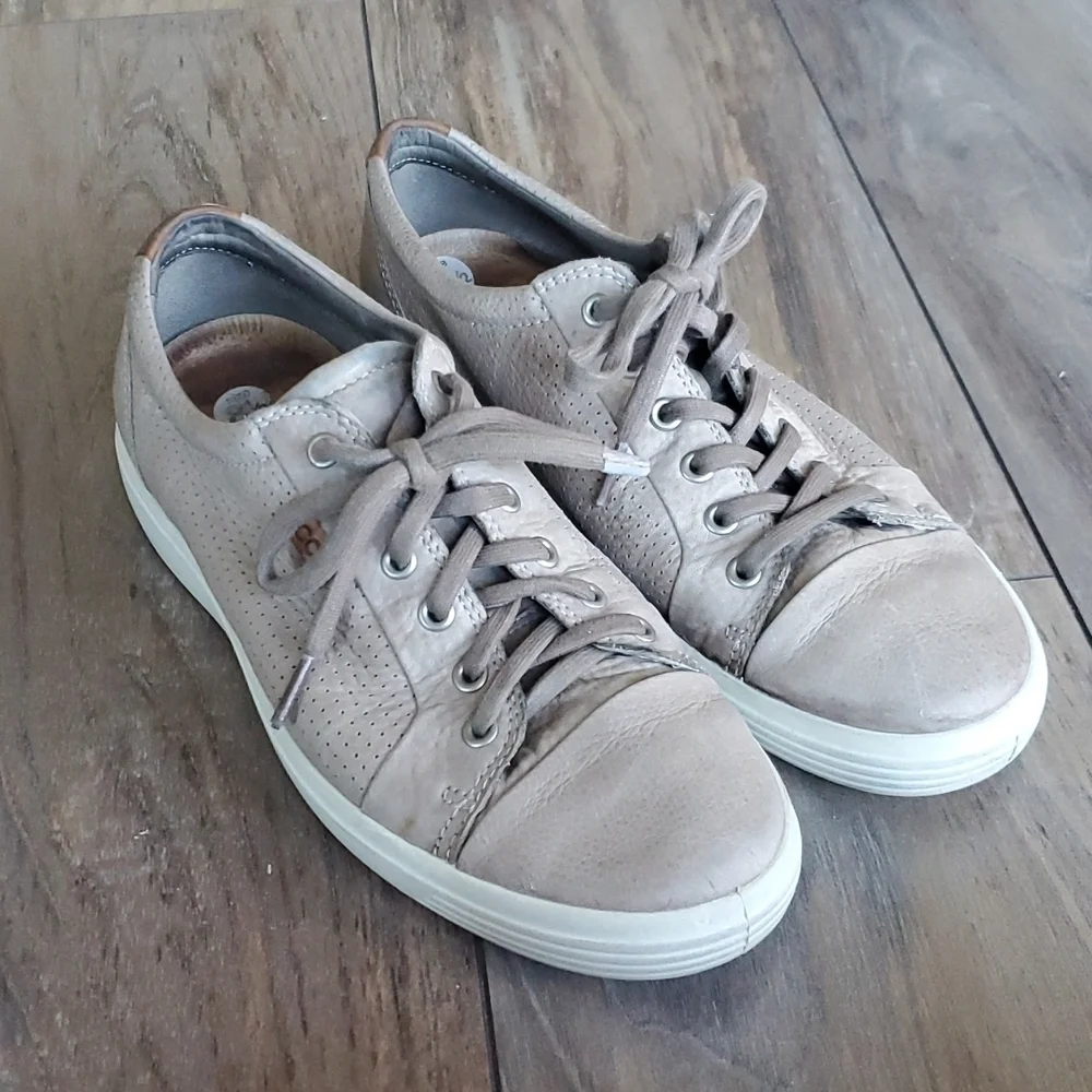 Ecco good s4